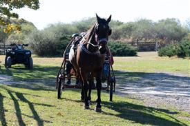 LR-WRF 10182025 Retreat-6345